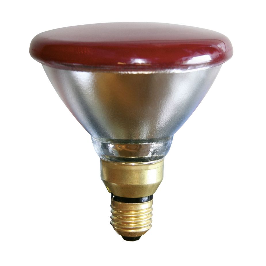 Lampada riscaldante a infrarossi per vitelli