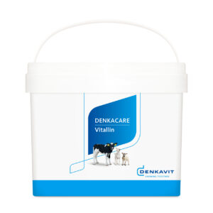 Vitallin Denkavit – Integratore per la salute intestinale dei vitelli